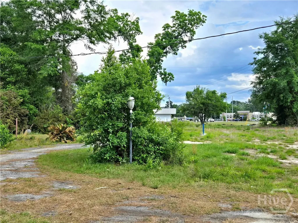 4415 Us Highway 80 E Ellabell GA 31308