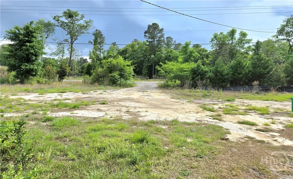 4415 Us Highway 80 E Ellabell GA 31308
