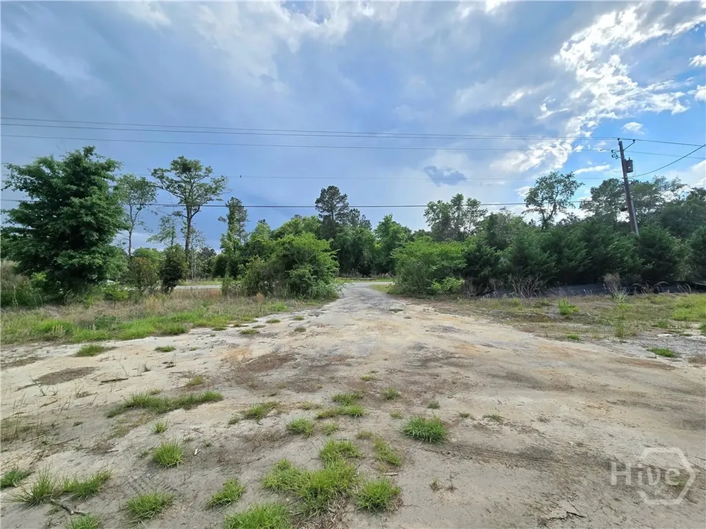 4415 Us Highway 80 E Ellabell GA 31308