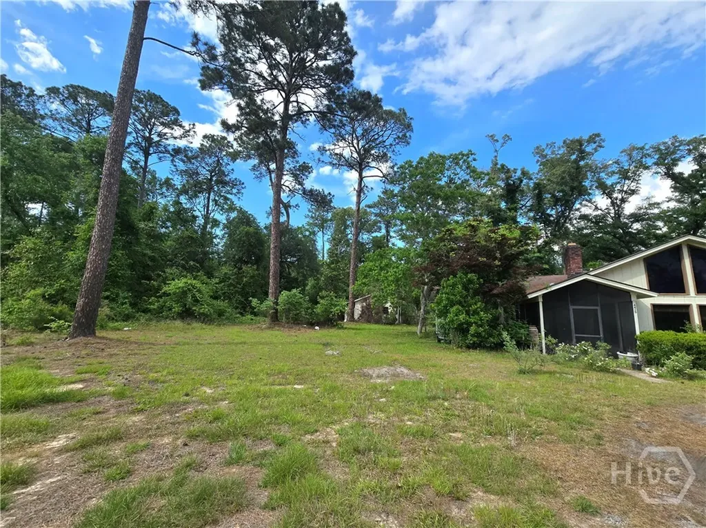 4415 Us Highway 80 E Ellabell GA 31308