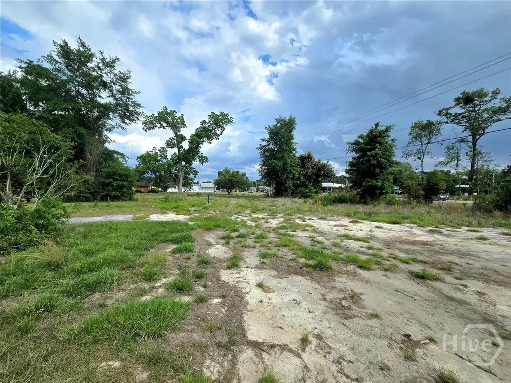 4415 Us Highway 80 E Ellabell GA 31308