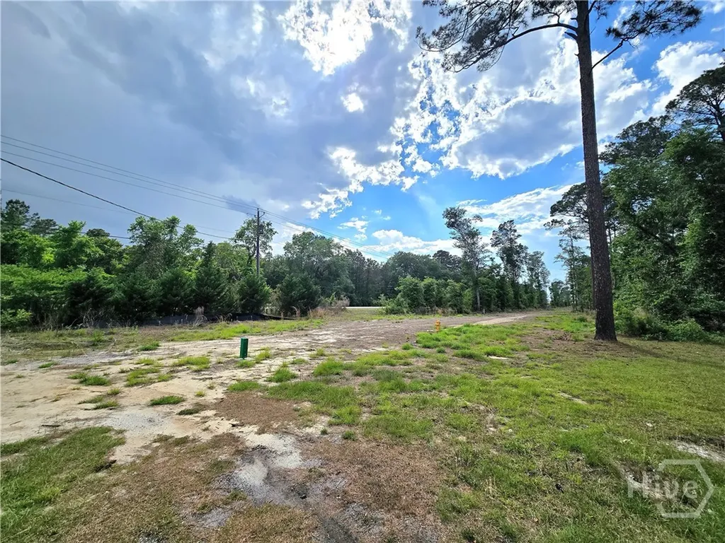 4415 Us Highway 80 E Ellabell GA 31308