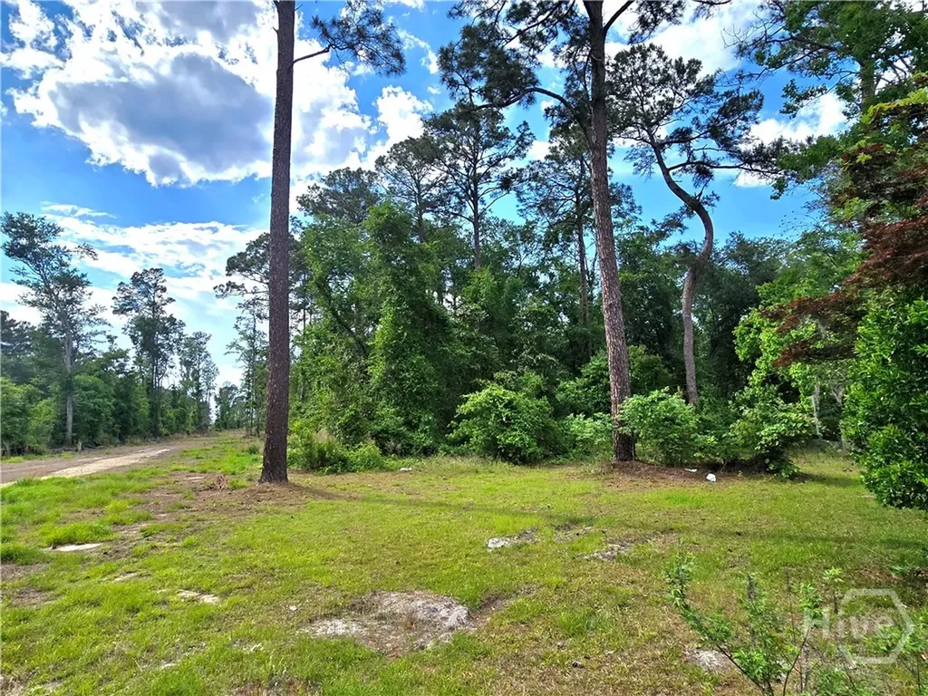 4415 Us Highway 80 E Ellabell GA 31308