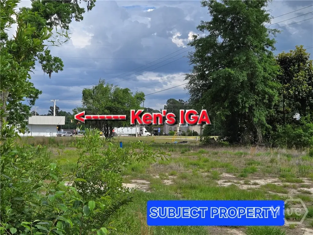 4415 Us Highway 80 E Ellabell GA 31308