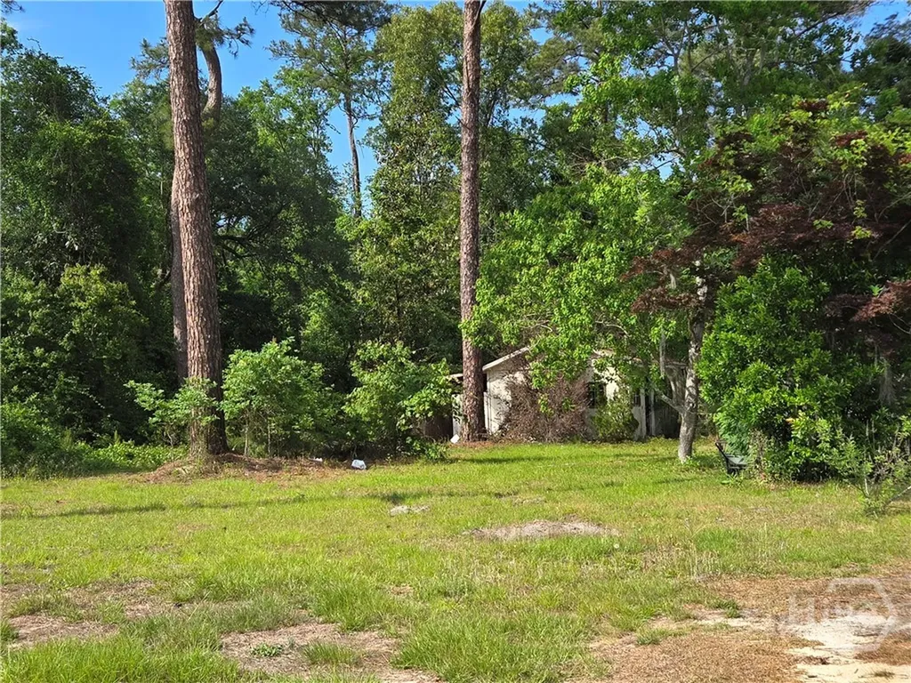 4415 Us Highway 80 E Ellabell GA 31308