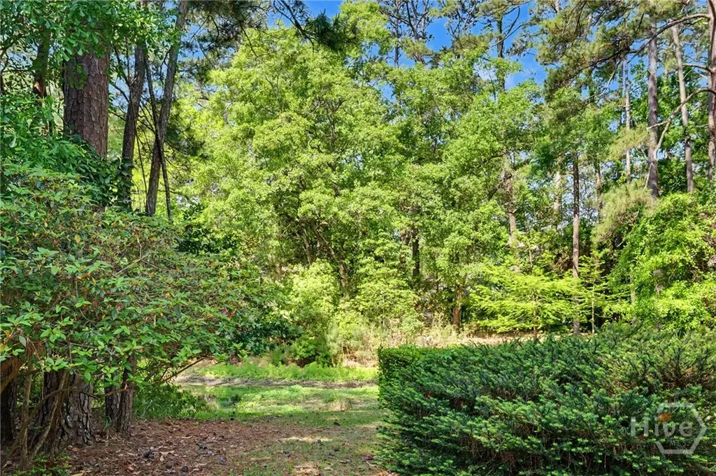 1 Treutlen Lane Savannah GA 31411