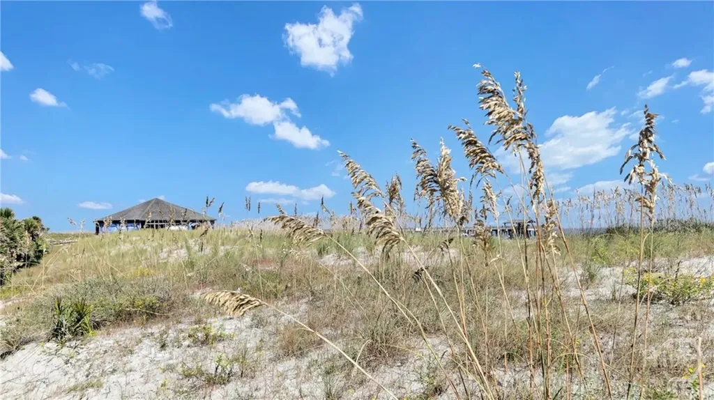 19 Logan Street Tybee Island GA 31328