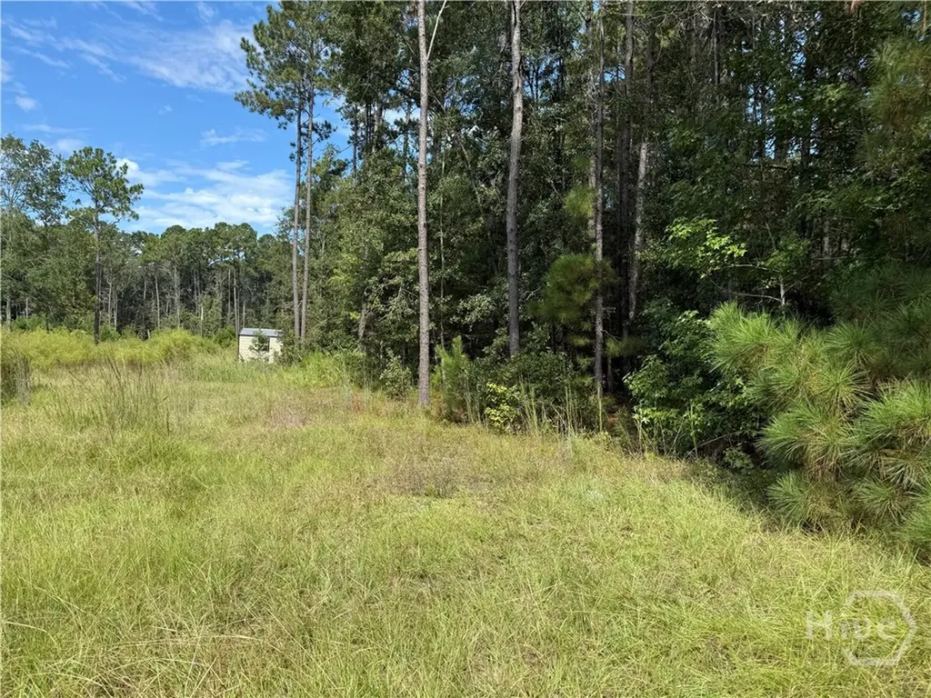 124 Oak Street Rincon GA 31326