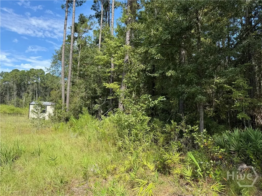 124 Oak Street Rincon GA 31326