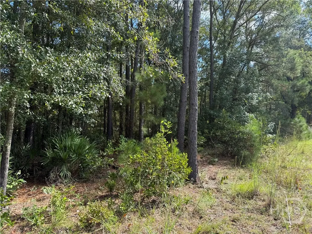 124 Oak Street Rincon GA 31326