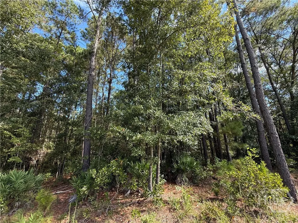 124 Oak Street Rincon GA 31326