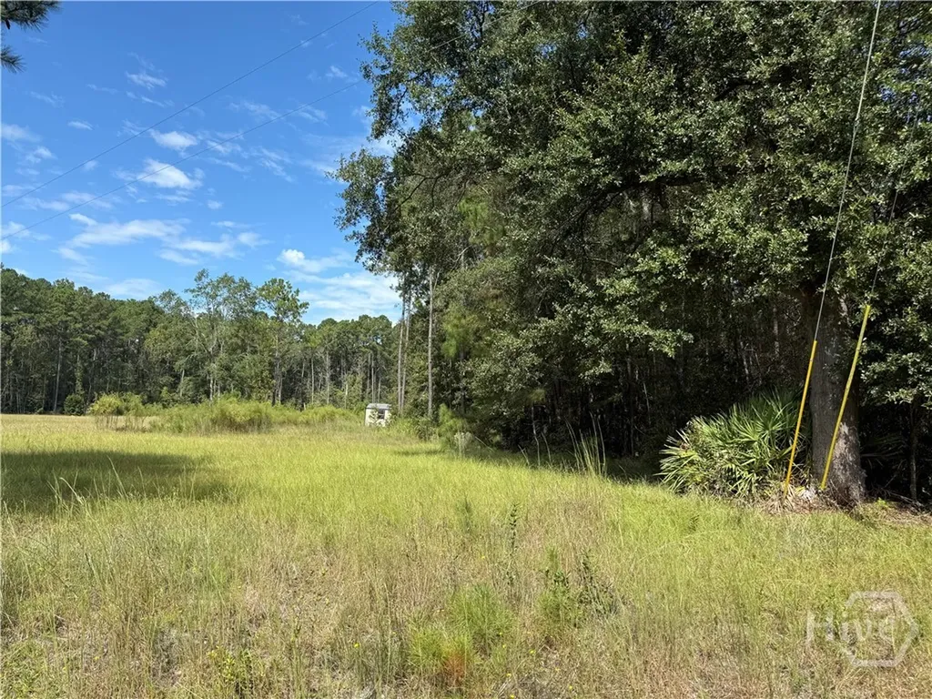 124 Oak Street Rincon GA 31326