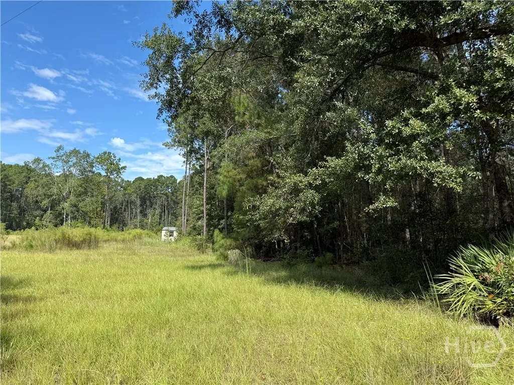 124 Oak Street Rincon GA 31326