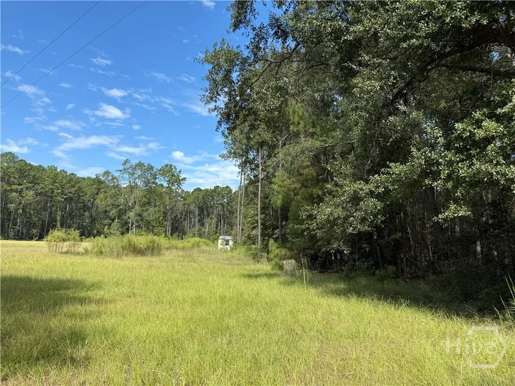 124 Oak Street Rincon GA 31326