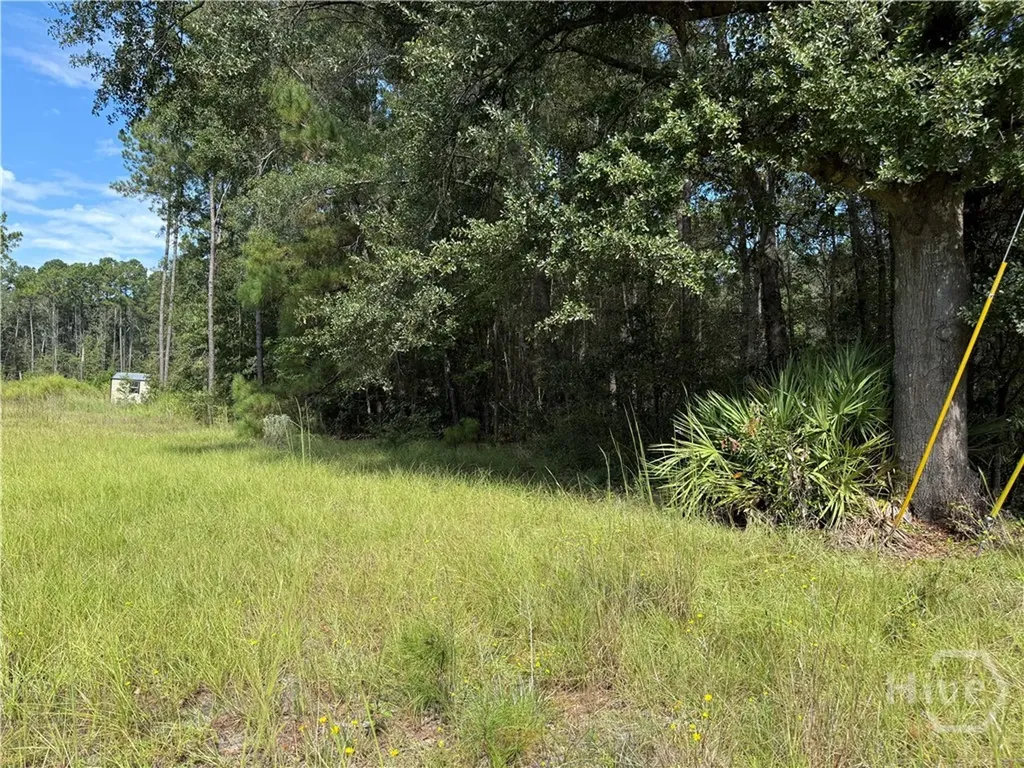 124 Oak Street Rincon GA 31326