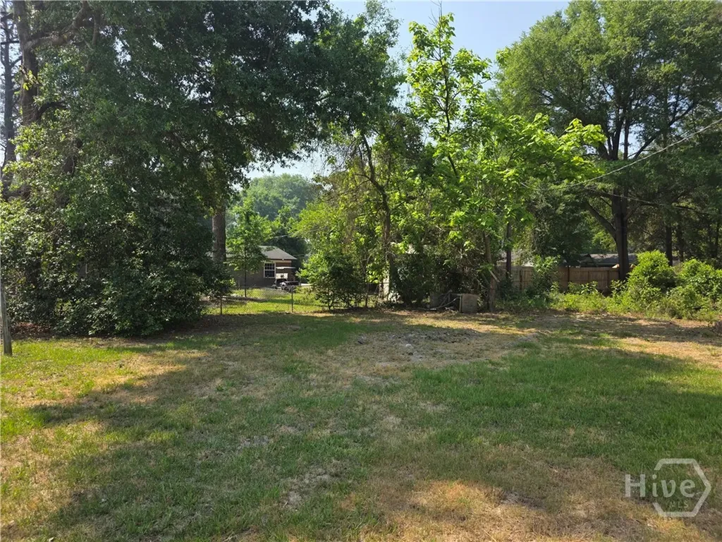 309 E Third Street Springfield GA 31329