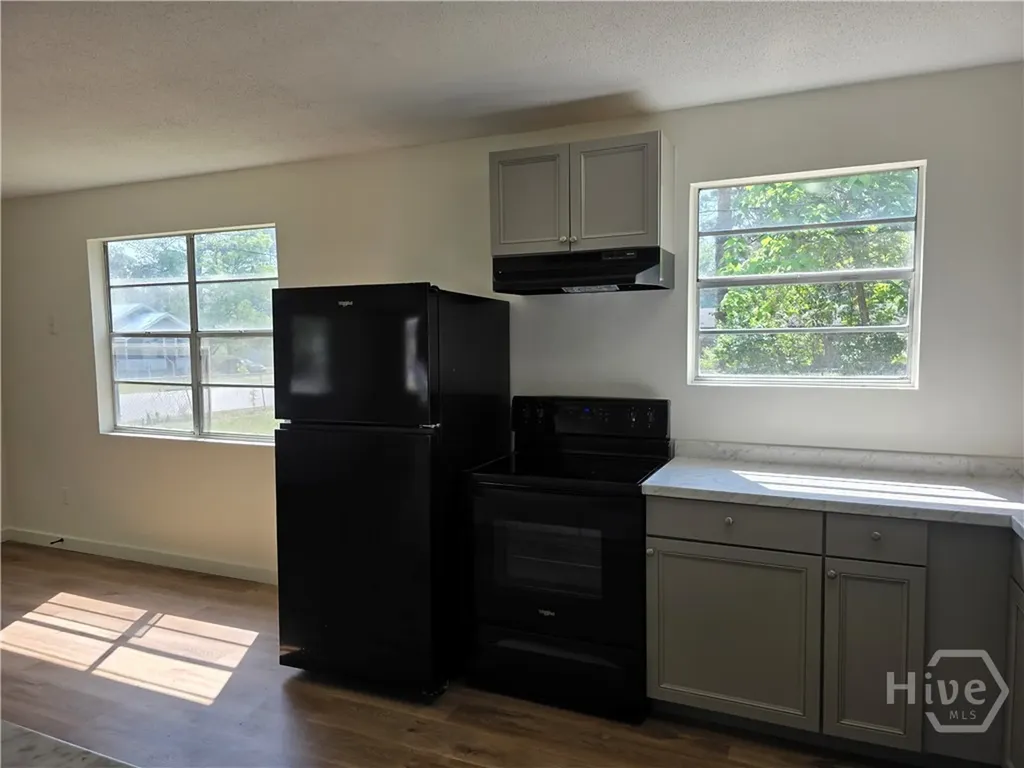 309 E Third Street Springfield GA 31329