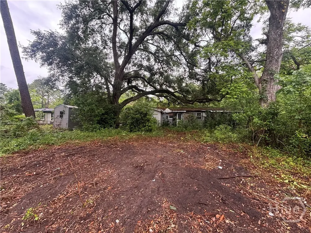 9 Ranchland Drive Savannah GA 31404