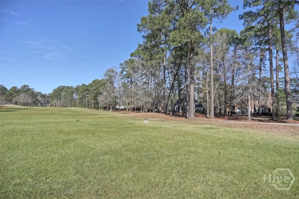 59 White Oak Bluff Savannah GA 31405