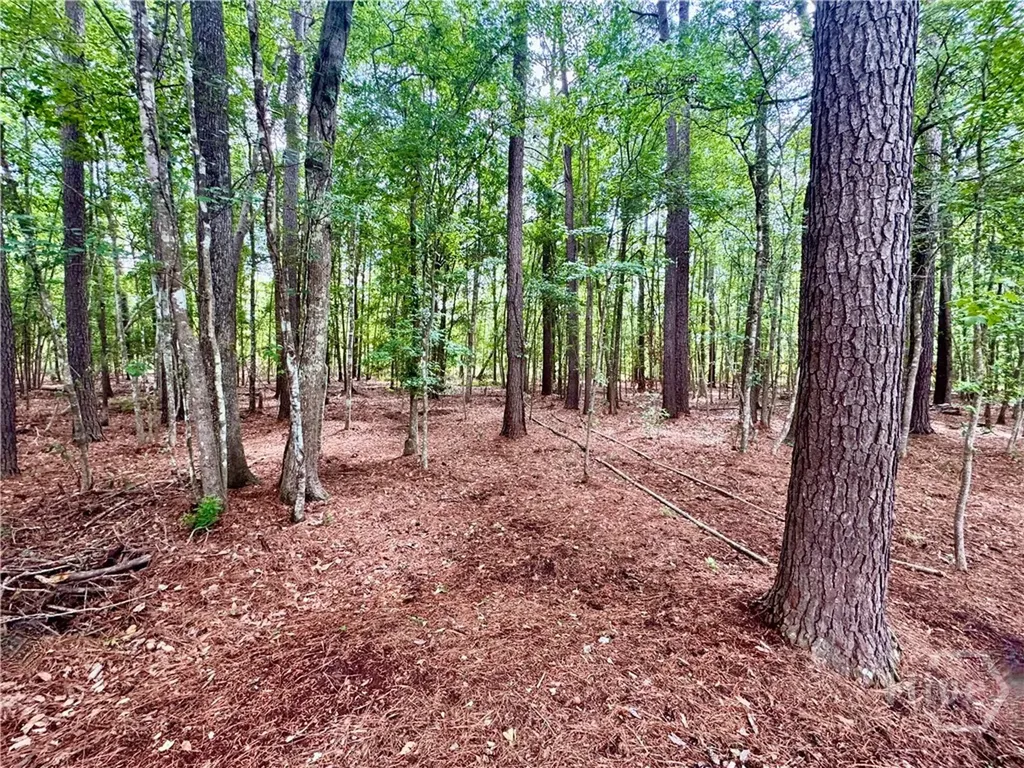 115 Royal Lane Pooler GA 31322
