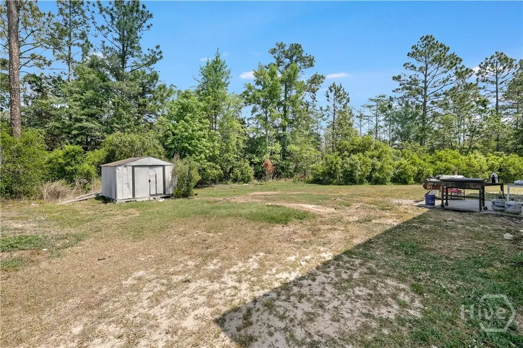 54 NE Springer Circle NE Ludowici GA 31316