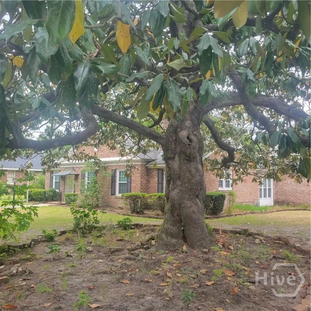 4620 Lansdowne Street Savannah GA 31405