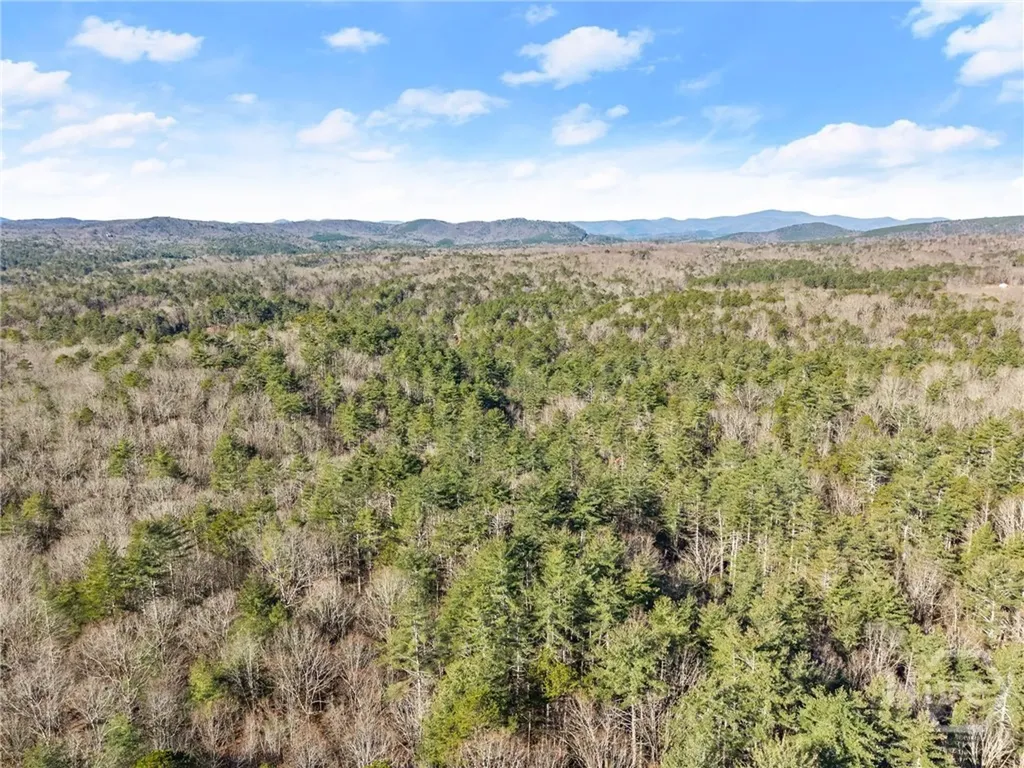 0 Shoal Creek Road Clarkesville GA 30523