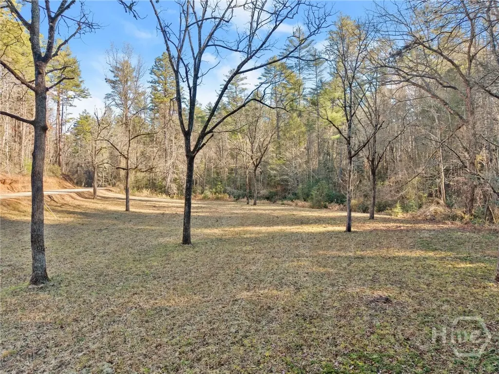 0 Shoal Creek Road Clarkesville GA 30523