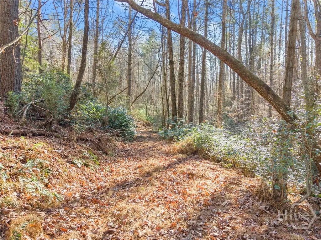 0 Shoal Creek Road Clarkesville GA 30523