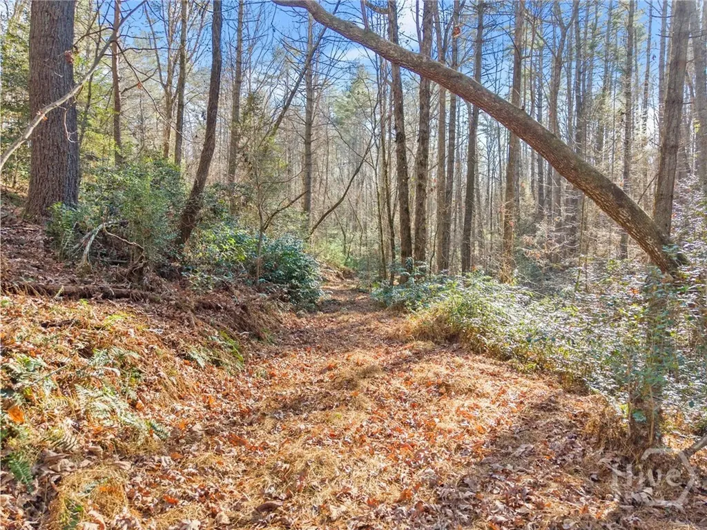0 Shoal Creek Road Clarkesville GA 30523