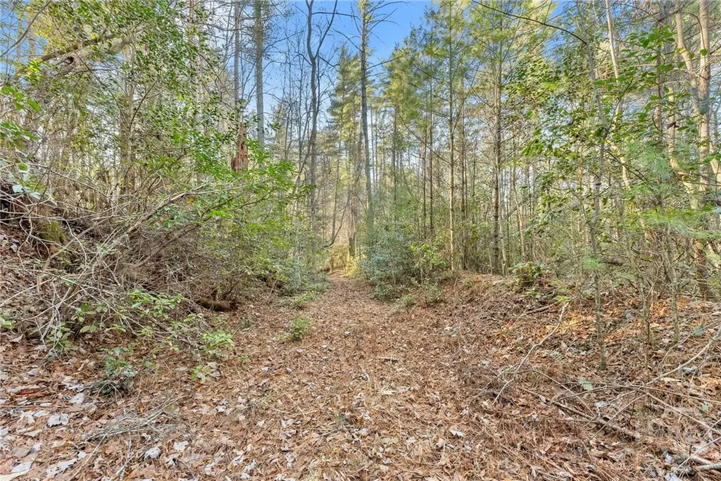 0 Shoal Creek Road Clarkesville GA 30523