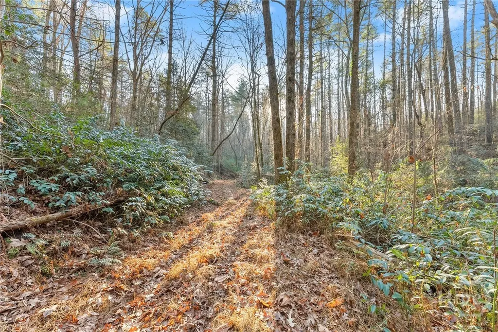 0 Shoal Creek Road Clarkesville GA 30523