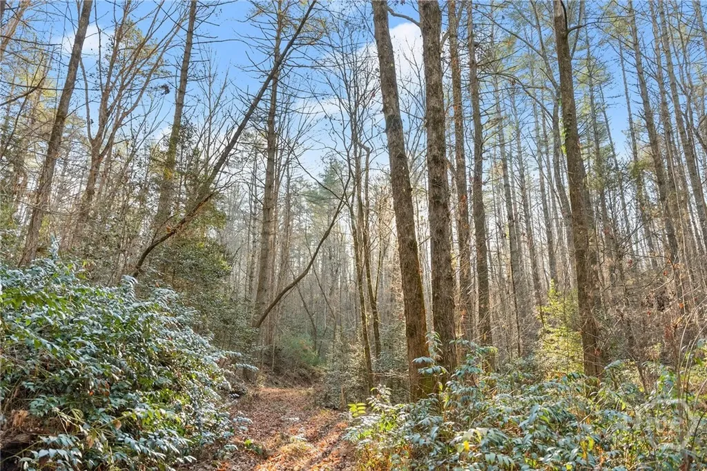 0 Shoal Creek Road Clarkesville GA 30523
