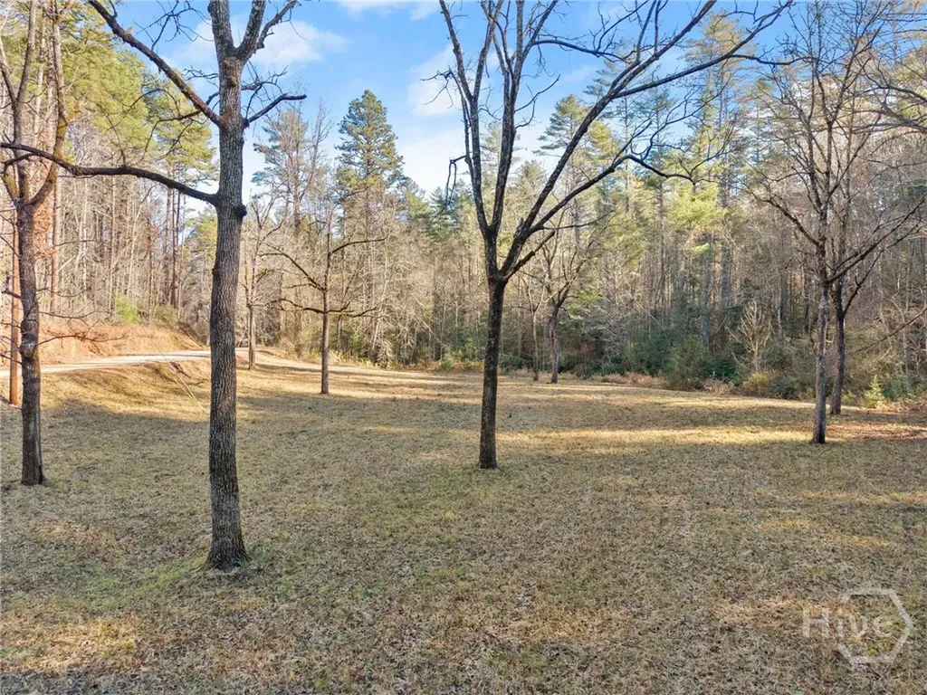 0 Shoal Creek Road Clarkesville GA 30523