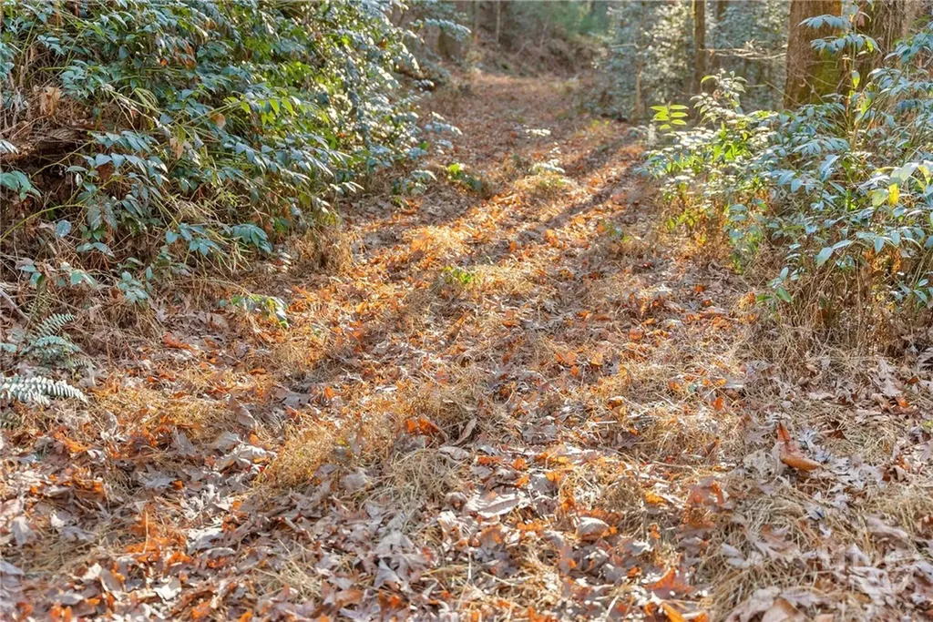 0 Shoal Creek Road Clarkesville GA 30523