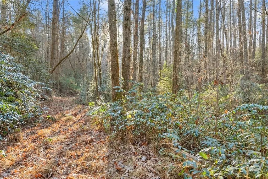 0 Shoal Creek Road Clarkesville GA 30523