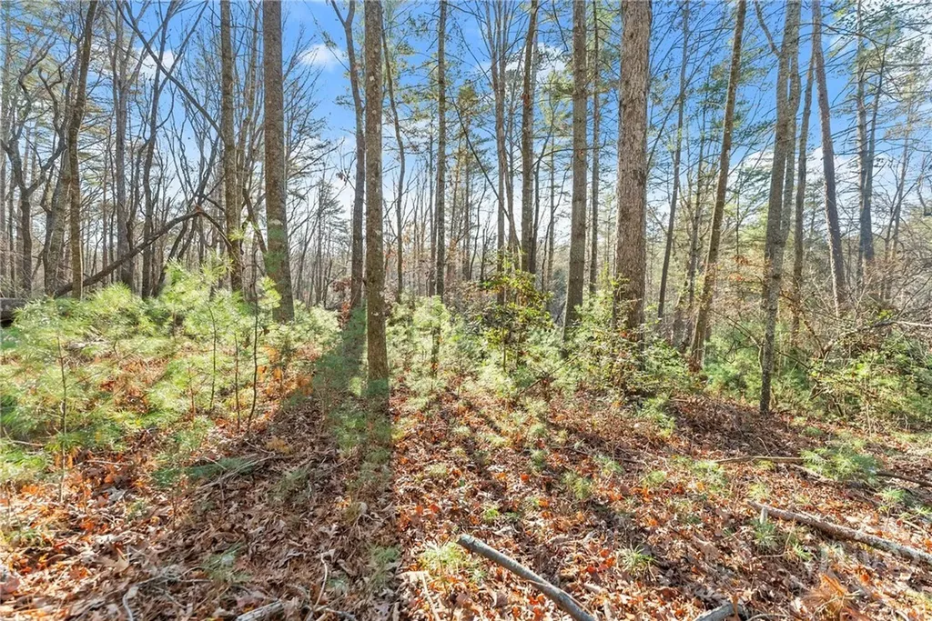 0 Shoal Creek Road Clarkesville GA 30523