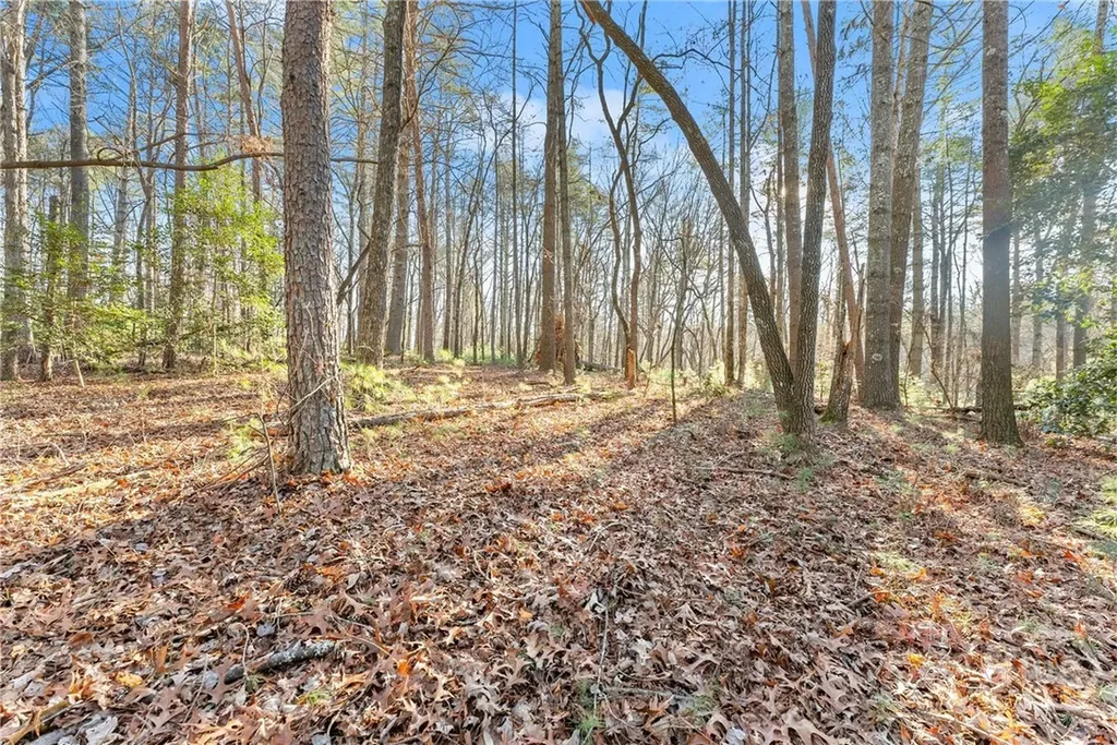 0 Shoal Creek Road Clarkesville GA 30523