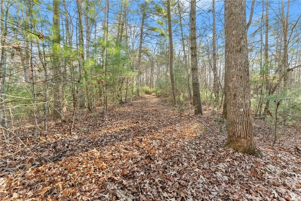 0 Shoal Creek Road Clarkesville GA 30523