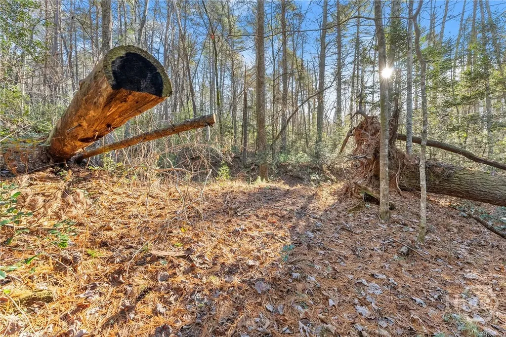 0 Shoal Creek Road Clarkesville GA 30523