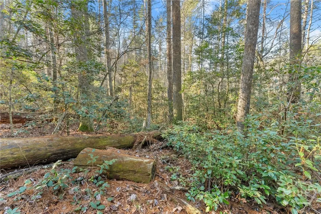 0 Shoal Creek Road Clarkesville GA 30523