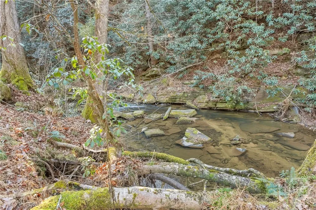 0 Shoal Creek Road Clarkesville GA 30523