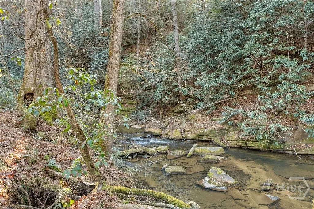 0 Shoal Creek Road Clarkesville GA 30523