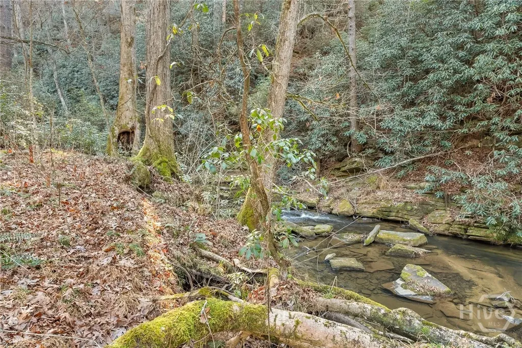 0 Shoal Creek Road Clarkesville GA 30523