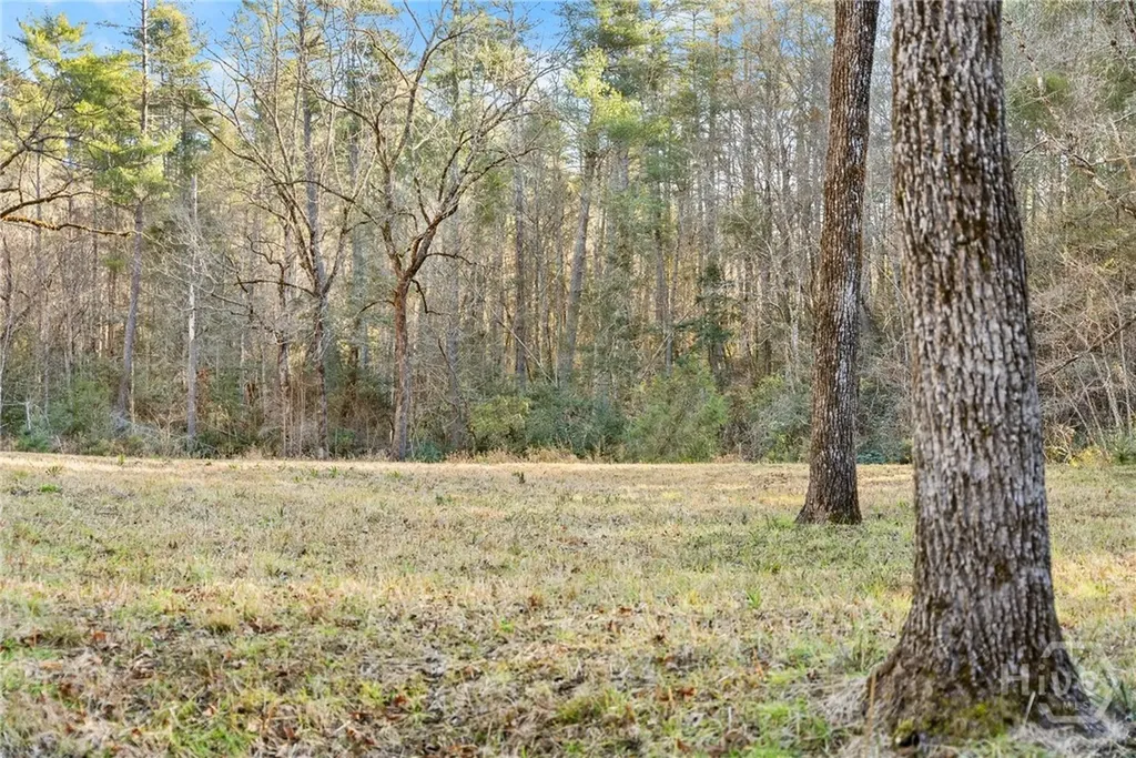 0 Shoal Creek Road Clarkesville GA 30523