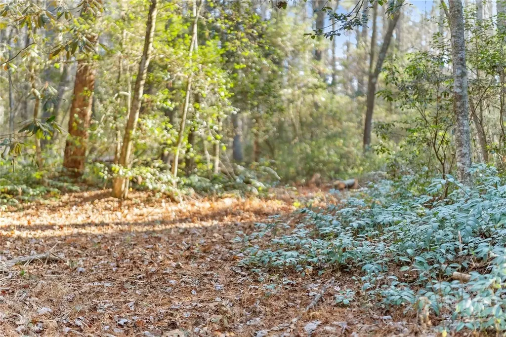 0 Shoal Creek Road Clarkesville GA 30523