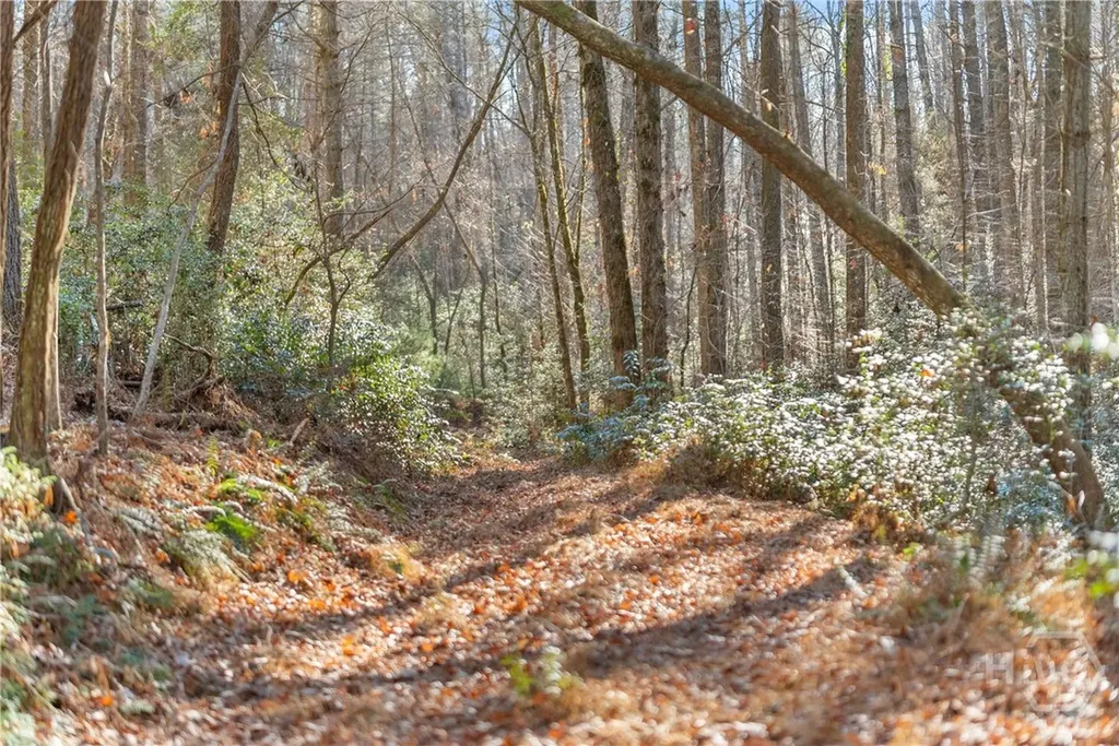 0 Shoal Creek Road Clarkesville GA 30523