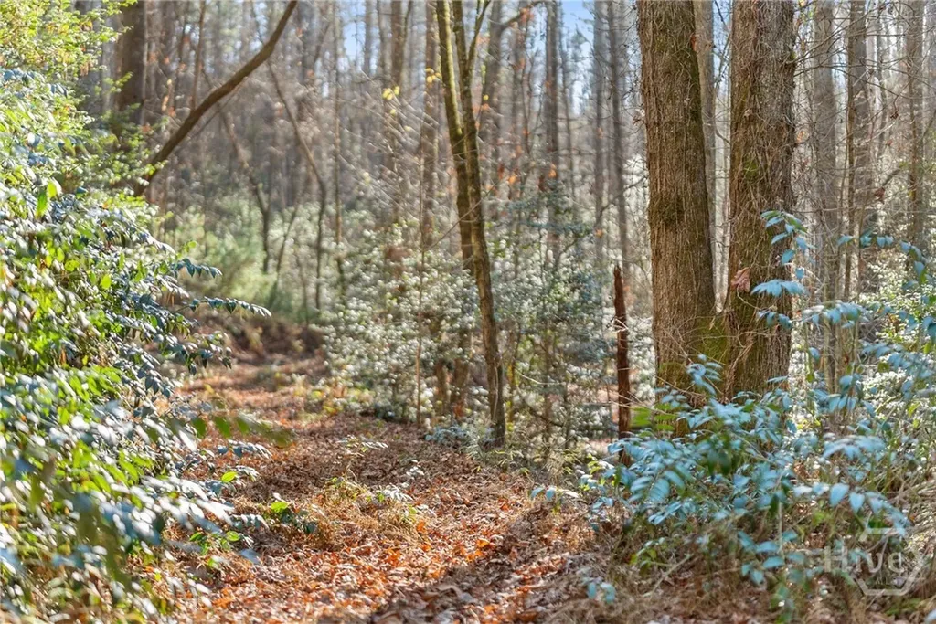 0 Shoal Creek Road Clarkesville GA 30523