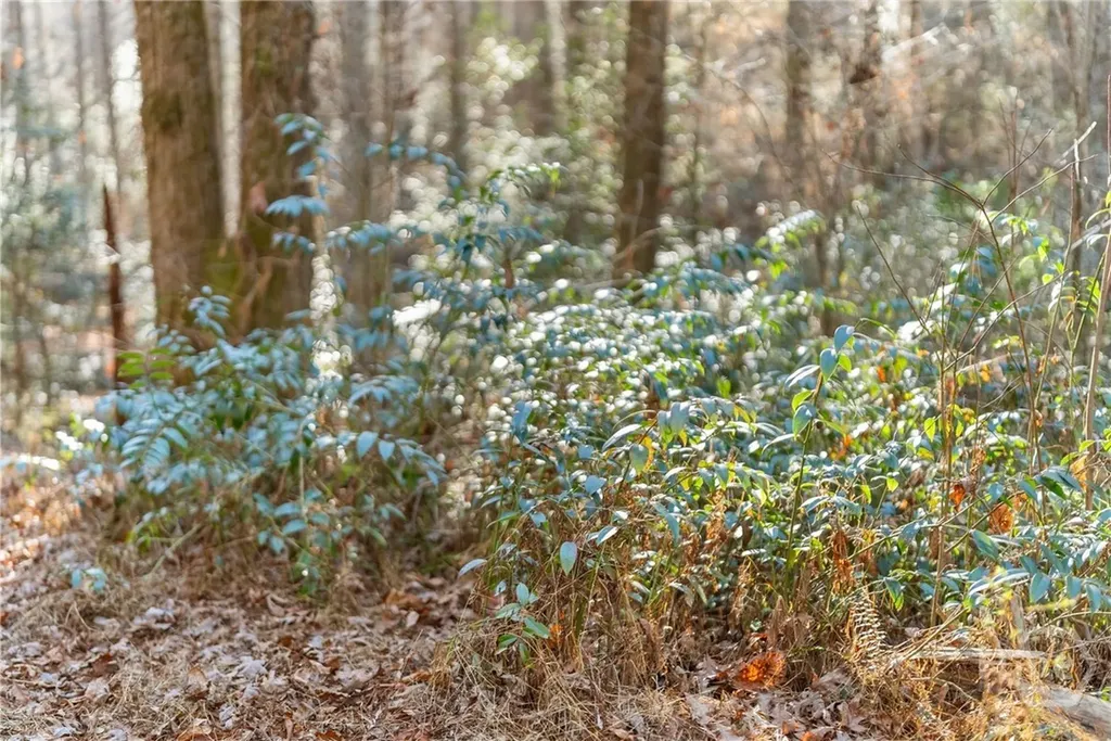 0 Shoal Creek Road Clarkesville GA 30523