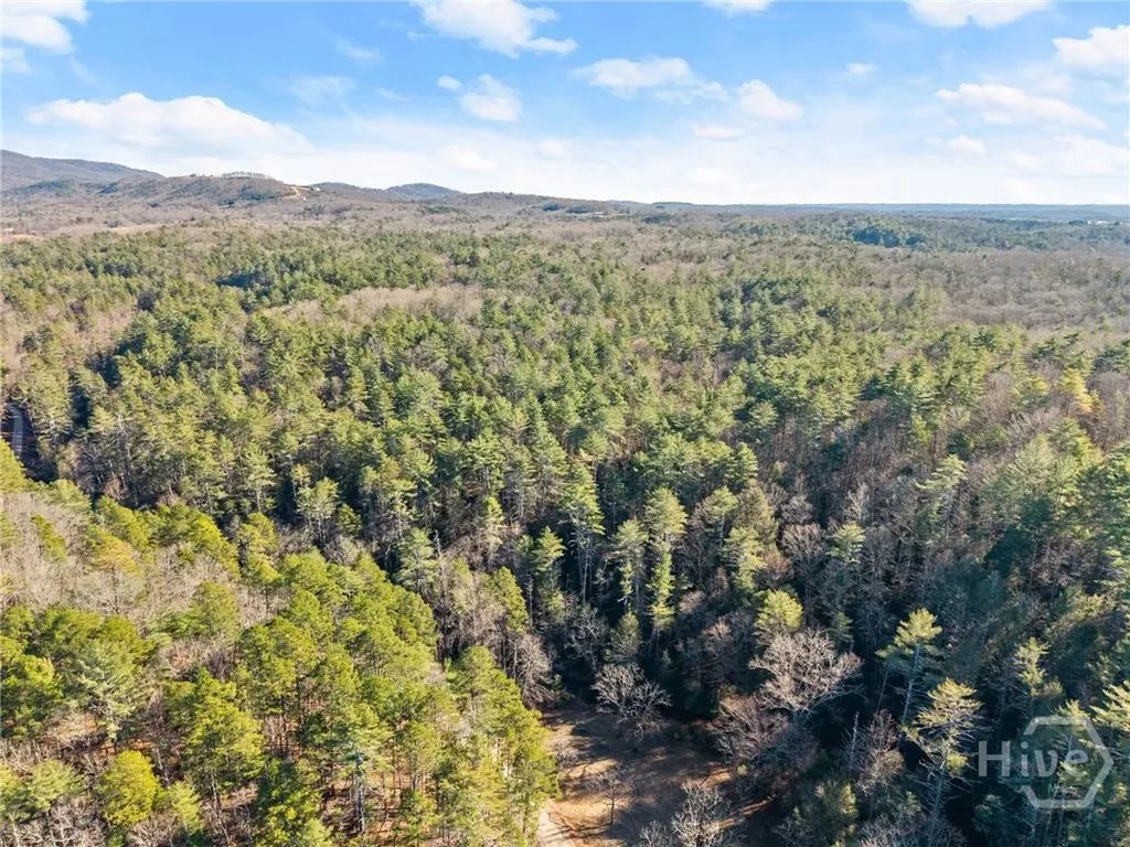 0 Shoal Creek Road Clarkesville GA 30523
